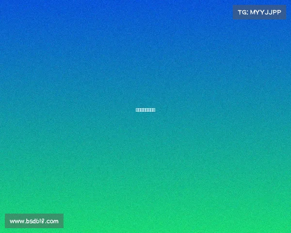 温网比赛开始时间